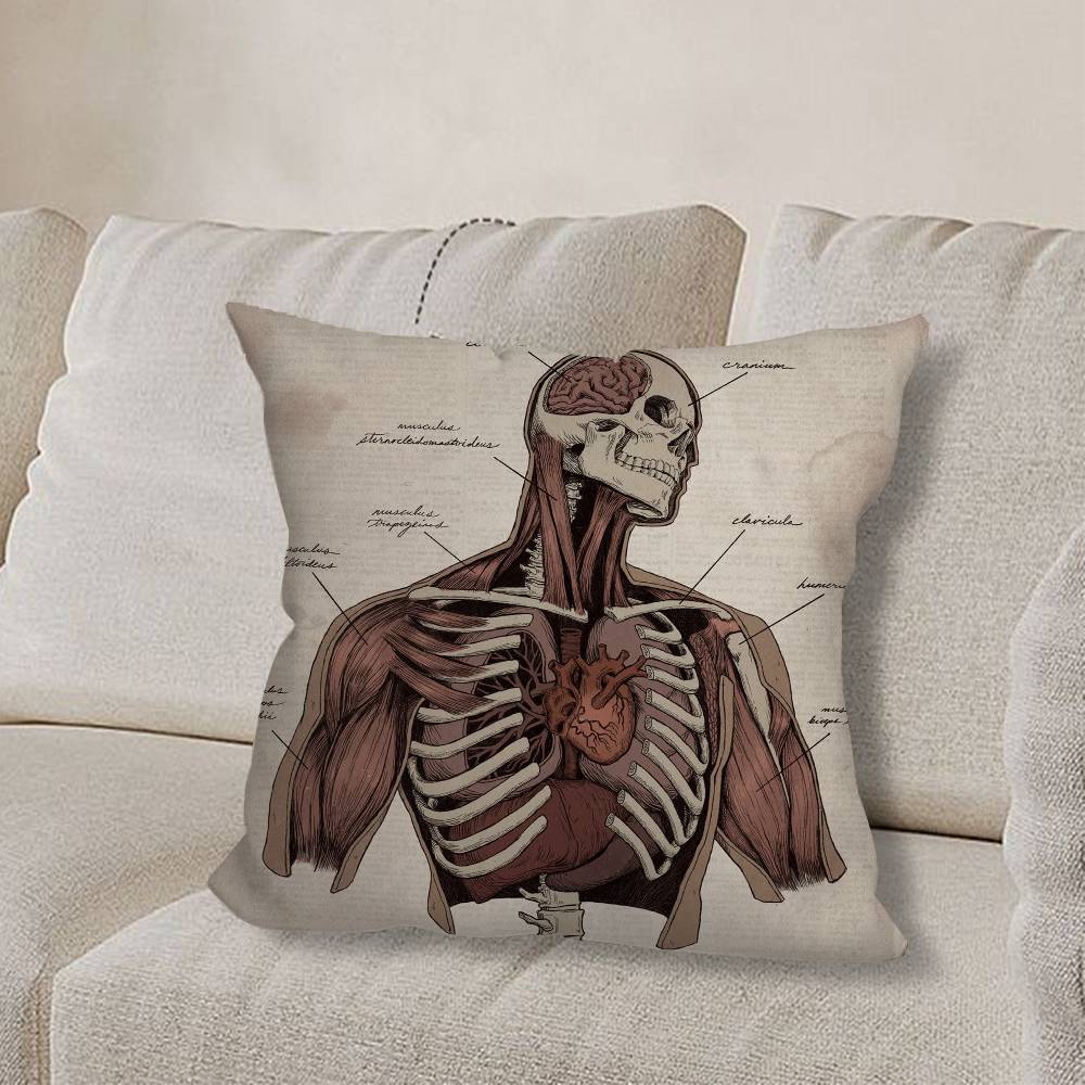 M-Medical Anatomy Art HumanS pillow cover living room sofa cushion cover bedroom room bed pillow cover home decoration