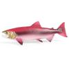 Kids' Deep-Sea Exploration Marine Creature Model Toy - Salmon, Mahseer, Fish Ornament