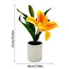 Multicolor Lilies Artificial Flower Potted Plastic Photo Props Simulation Flowerpotted Elegant Fake Flower Home Decoration