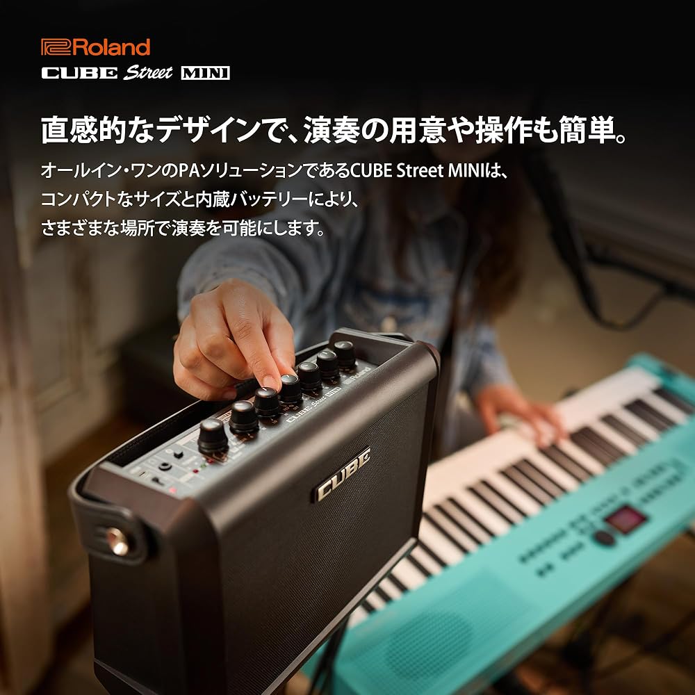 Roland Roland CUBE Street MINI/CUBE-ST-MI Portable Amplifier Mini Amplifier Guitar Keyboard Vocal...