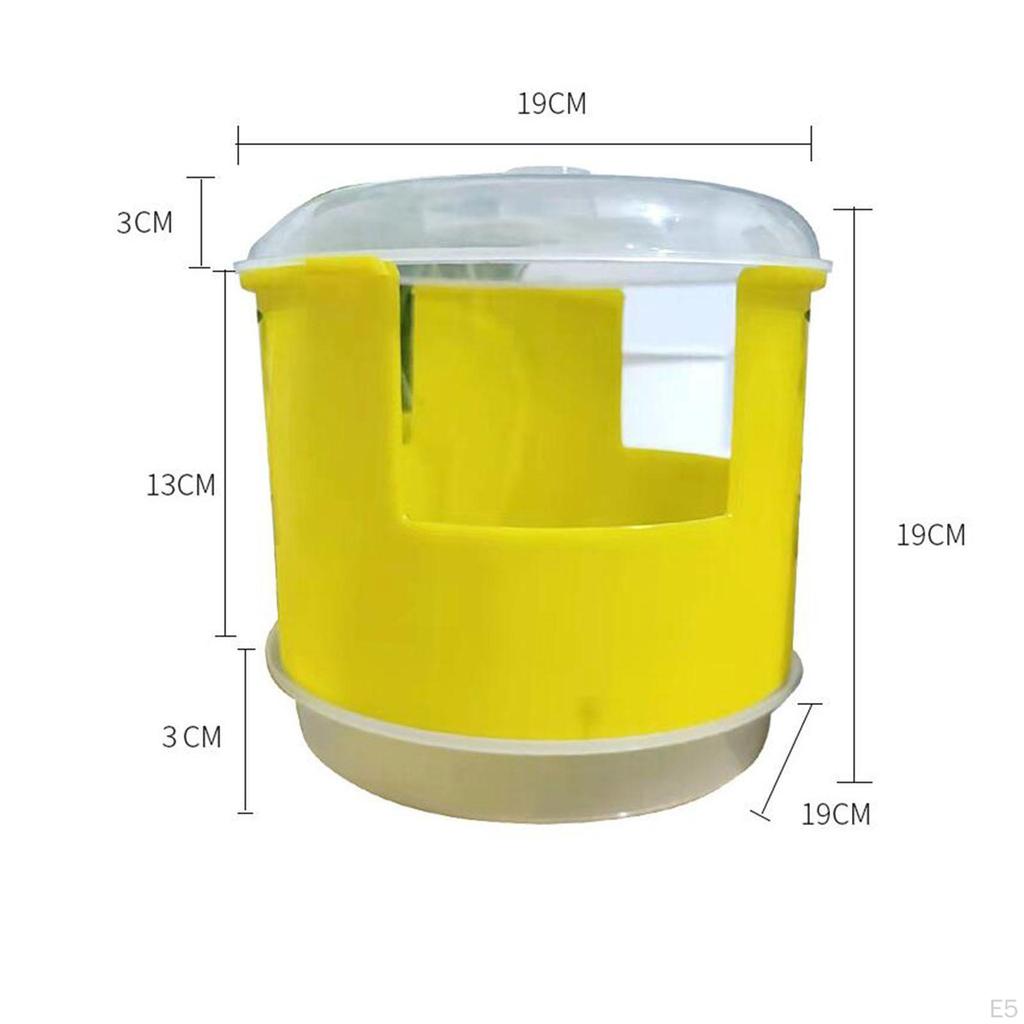 Germination Tray Grower Container Peanut Box for
