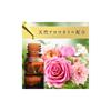 Soflan Aroma Rich Fabric Softener Diana Rose 1210ml (Royal Scent) Refill,