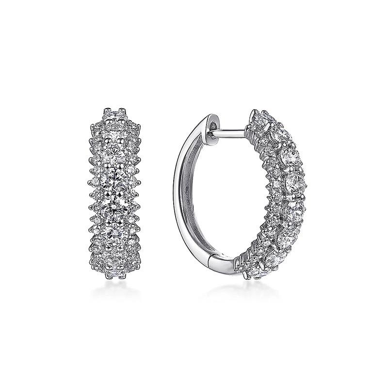 French Circle Earrings, Premium Fashion Celebrity Ear Buckles, Prom Celebrity Premium Atmosphere Earrings