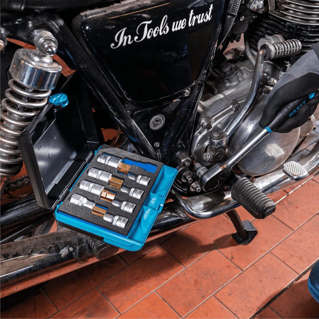 HAZET Professional Screwdriver Bit TiN Titanium Nitride Hex Hazet with Plastic Made in Precision Tools for Automotive and Industrial Officially