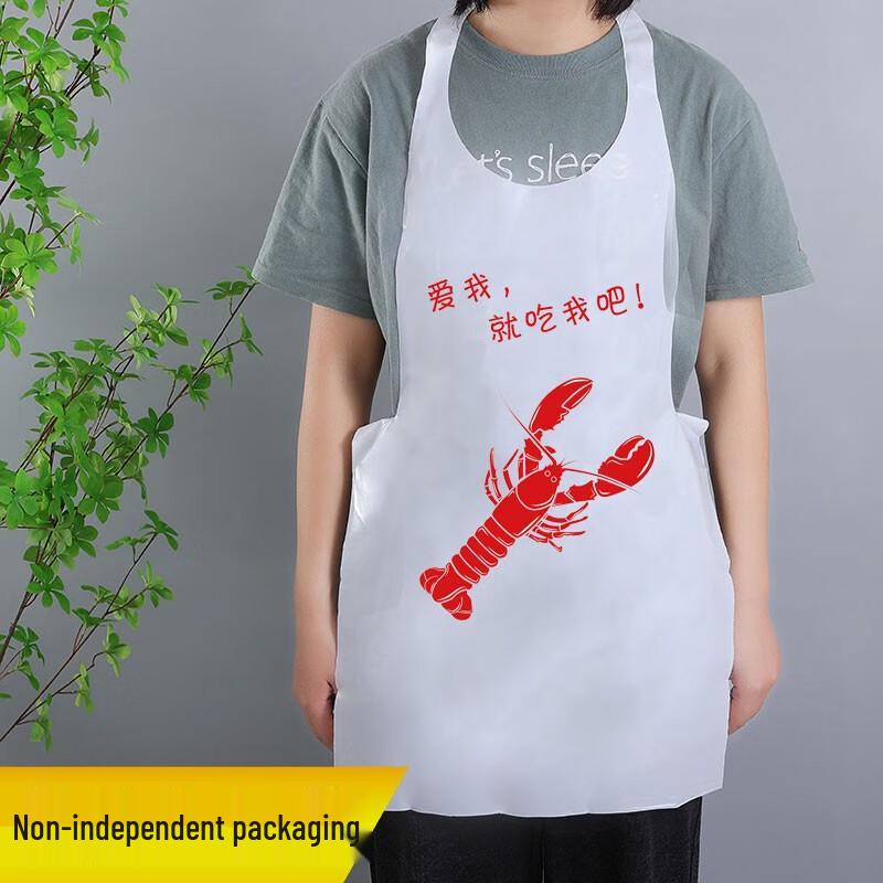 Qianxing Disposable Anti-Splash Dining Aprons