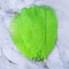 10Pcs Green Ostrich Feathers for Crafts 15-35cm Handicraft Accessories DIY Plume Starry Wedding Mask Handmade Centerpieces Decor