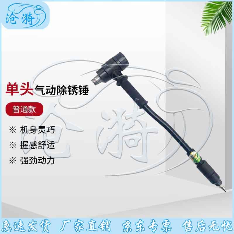 

Single-Head Pneumatic Rust Removal Hammer