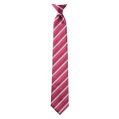 [Anby] Necktie 25T0617 Burgundy F