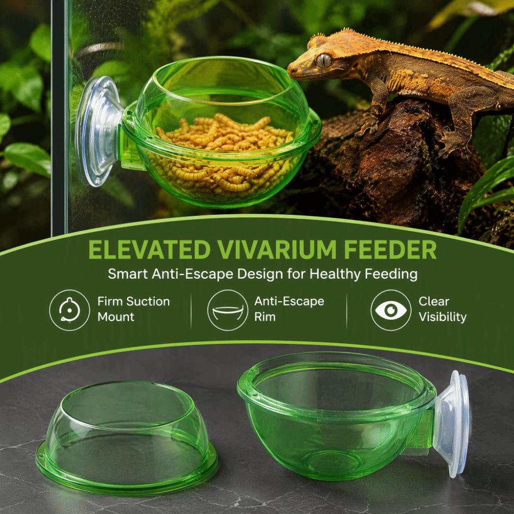 2pcs Round Reptile Feeding Bowl Green Chameleon Feeder Dish Durable Suction Cup Feeder Chameleon