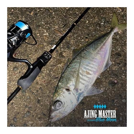 VARIVAS Ajing Master Fluorocarbon Blue Moon 150m
