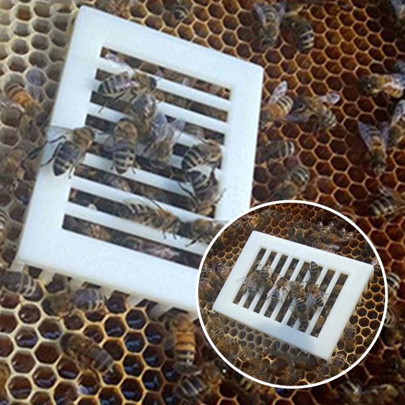 10Pcs Beekeeping Queen Cage Plastic Honeys Cage Container Suitable For Efficient Hives Management And Worker Bees Access