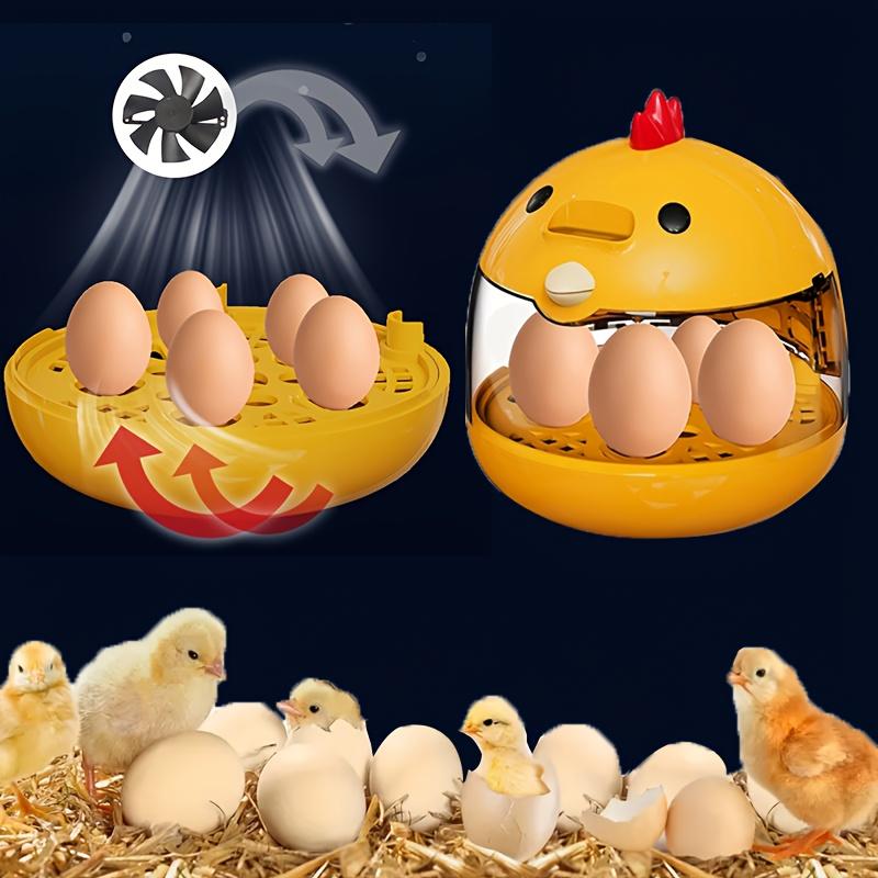 Home Use Educational Egg Incubator for Chicken Duck Goose Bird Eggs Easy Operation Fertilization Rate Above 90%