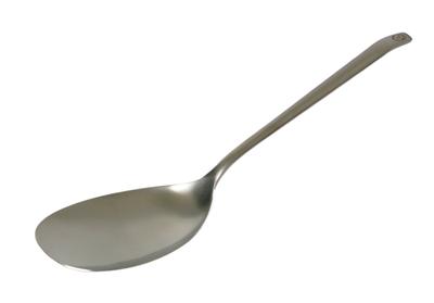 Titanium Spoon
