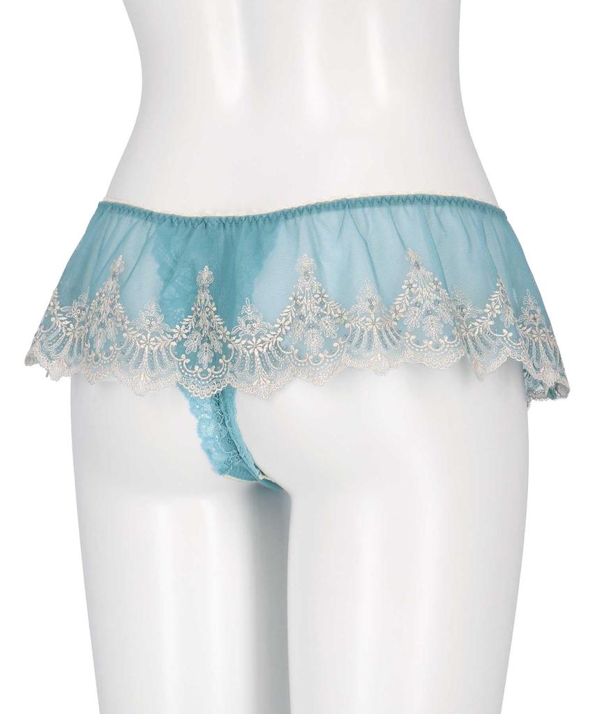 Amphi Thong Panties Pair with Hold Day Bra Women's PYJ593, BYJ393, Non-Pinch (Back)