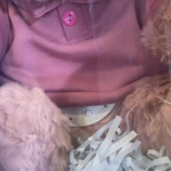 KI-gesteuertes Plüschtier mit Smart-Modul und WLAN-verbundener Bewegung