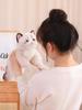 HOKESS Ragdoll Cat Plush Lifelike Soft Stuffed Kitten Birthday Gift for and Cat Lovers 20-inch Toy, Animal, Boys, Girls, Kids,
