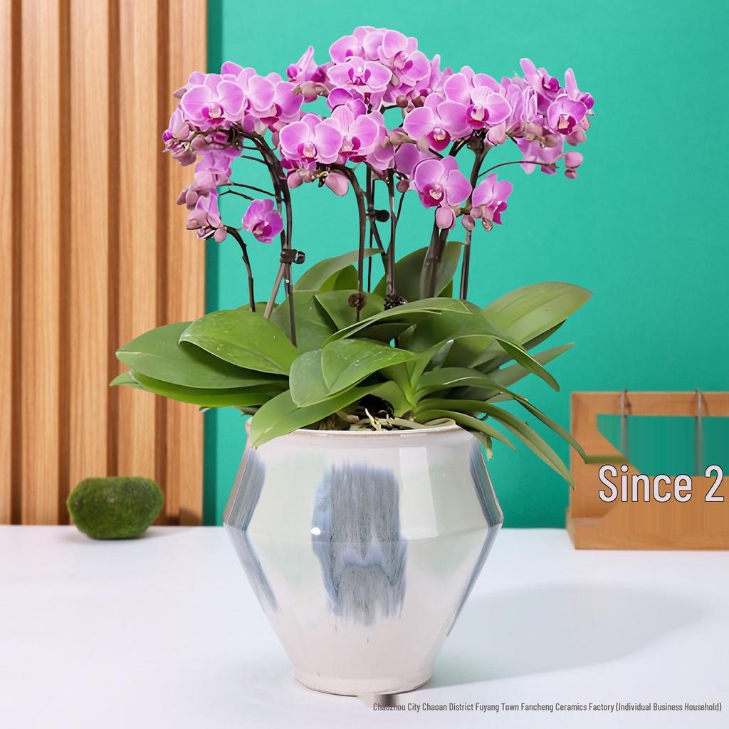 European-Style Hand-Painted Ceramic Flower Pot for Phalaenopsis - Luxurious Decorative Piece for Balcony or Living Room