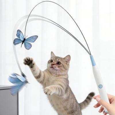 Gatos – Brinquedos para gatos