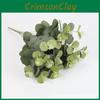 Eucalyptus Robusta Simulated Smith Used For Landscape And Wedding Design Floral