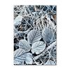 Inverno Neve Foresta Treno Cervo Scoiattolo Pigna Wall Art Canvas Painting Poster e stampe Immagini a parete per soggiorno Decor