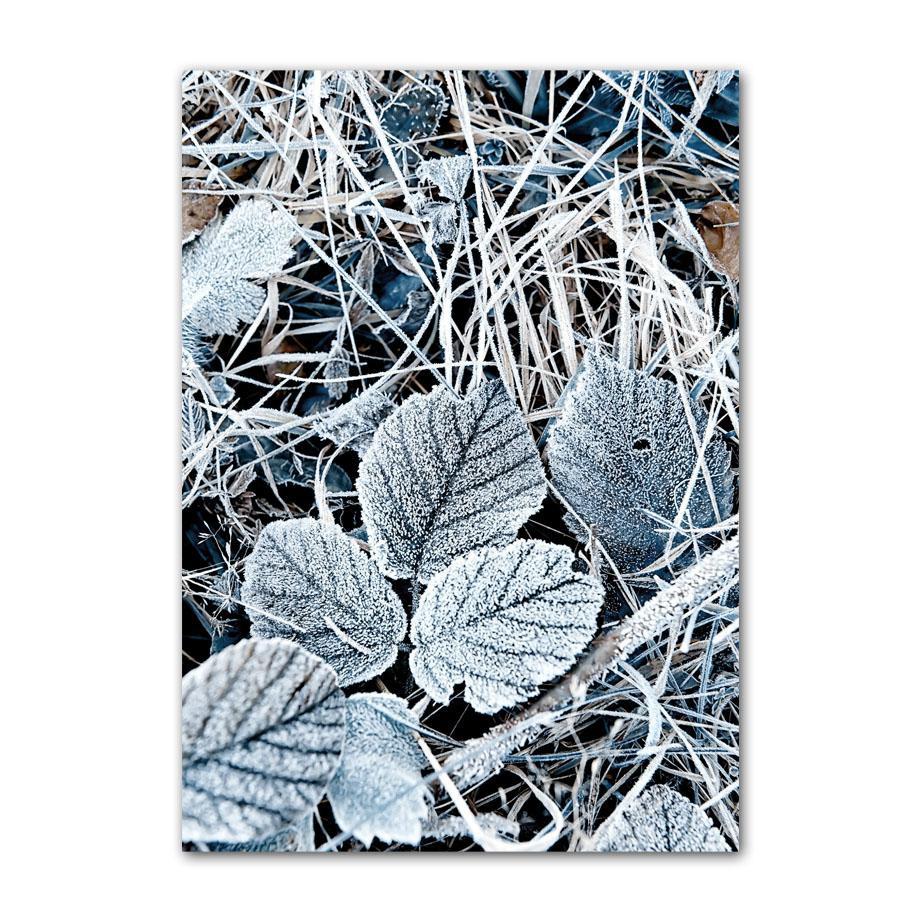 Inverno Neve Foresta Treno Cervo Scoiattolo Pigna Wall Art Canvas Painting Poster e stampe Immagini a parete per soggiorno Decor