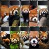 Popular Red Pandas Phone Case For Samsung Z Flip 7 6 5G Galaxy Z Flip 5 4 3 Black Hard Cell Cover Luxury PC Shell Coque