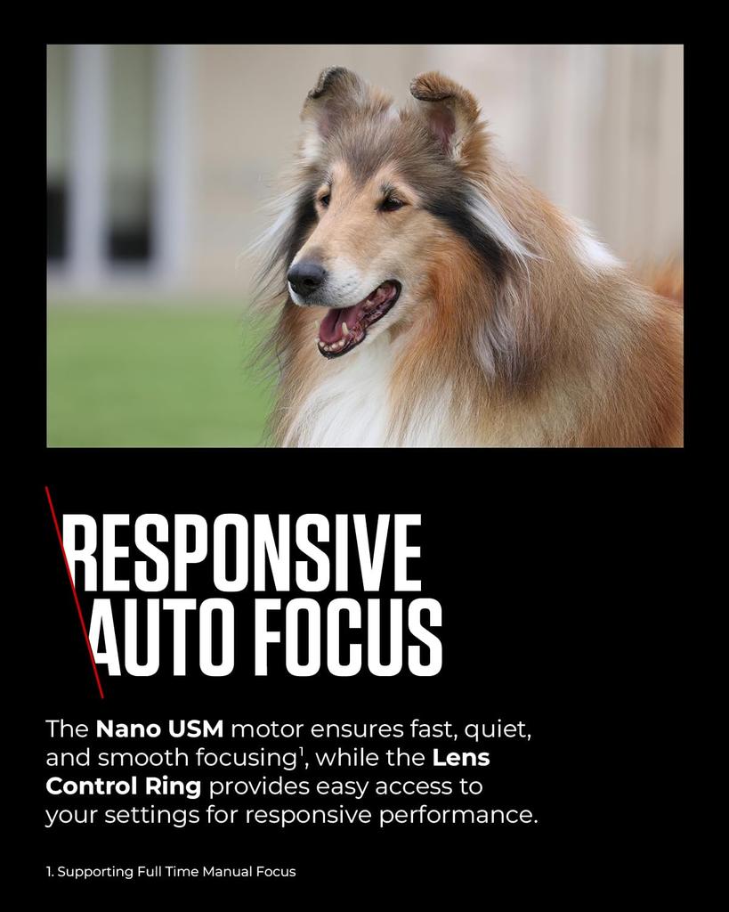 Money Back Canon IS USM Excellent Tested and Working [Full Guarantee] [Fastest Shipping] RF100-400mm F5.6-8 Lens, Condition,