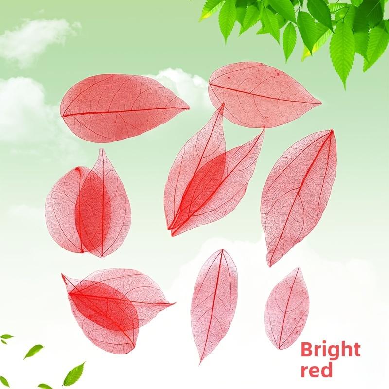 10pcs Colorful Diamond-Veined Pressed Flowers, Decorative Art Dried Flowers, DIY Handmade Materials For Making Accessories
