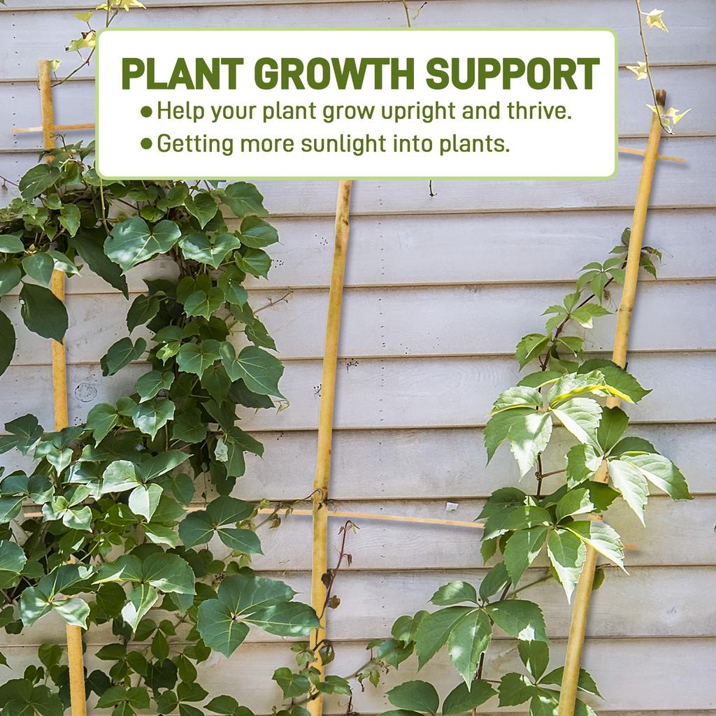 10pcs 3FT Bamboo Trellis For Climbing Plants,Fan-Shaped Plant Support Trellis For Houseplants Ivy Hoya Vine Monstera