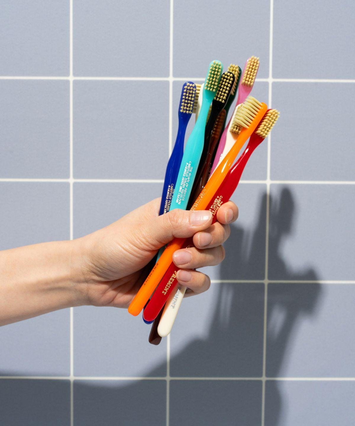 Premium Toothbrush 10-Piece Set (10 Colors)