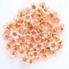 50/100 Stück Mini Gänseblümchen Künstliche Blumenköpfe Seide DIY Bilderrahmen Foto Requisiten Heimdeko Muttertag Hochzeit Dekoration