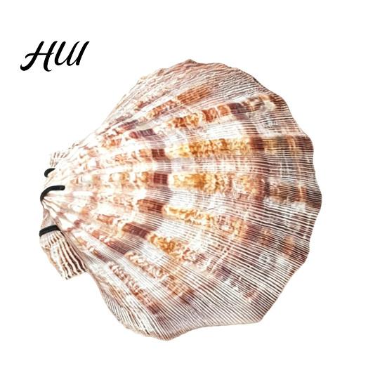 Ocean Inspired Journal Natural Scallop Shell with Handmade Paper Beach-Themed Notebook for Nature Writing Sketching Ocean-Inspired Diary Women C