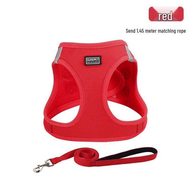 Escape-Proof Cat & Small Dog Harness Leash - Outdoor Walking Rope for Teddy & Bichon Frise