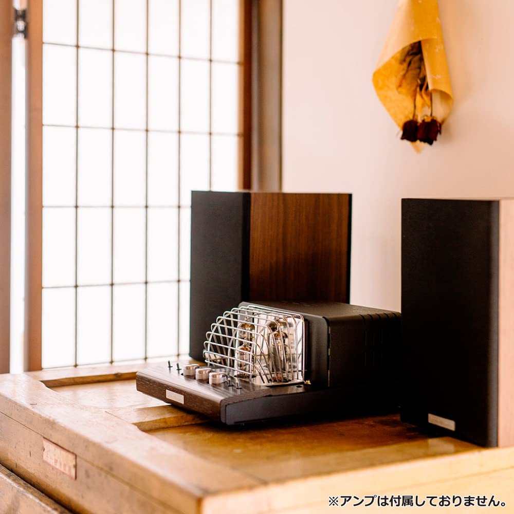 SOUNDWARRIOR Broadband Passive Radiator Equipped with 2WAY Speaker Wooden Small Bookshelf Speaker Droncone SW-SP1