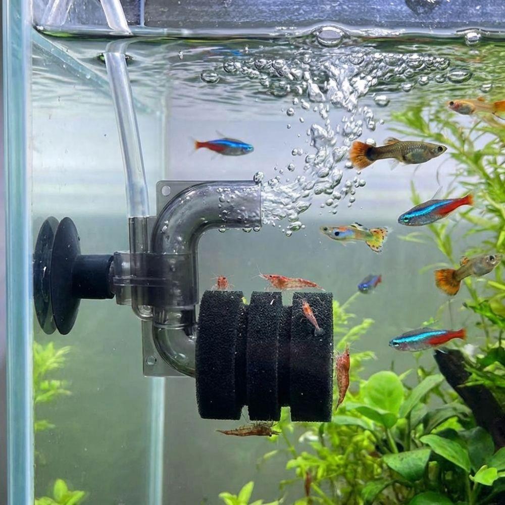 Increase Oxygen Fish Tank Filter Pump Suction Cup Aquarium Oxygen Pump Biological Filtration