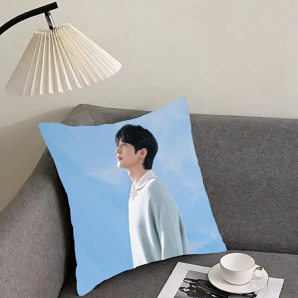Byeon Woo-seok Cushion Cover Reversible Plush Pillow Cover – For car, sofa, bedroom, perfect as a gift.