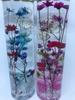 C.R Herbarium, Preserved Flowers, Gift, Mother's Day Gift, Message Card Included, Ornamental Decor (Red)
