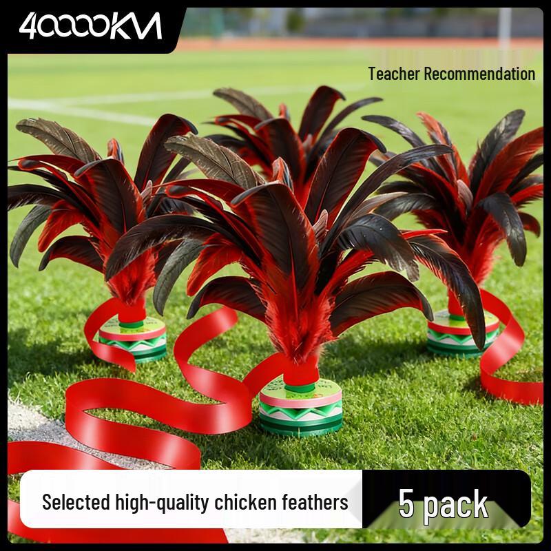 Durable Sports Shuttlecock Set