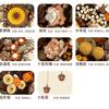 DIY Plants Art Wall Flowers Simulated Sunflower Living Room Pendant Building Blocks Model Bricks Kids Sets Toys