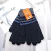 Autumn and winter men's wool gloves