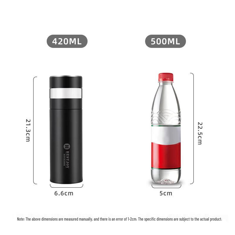 FUGUANG 316 Stainless Steel Tea Infuser Thermos