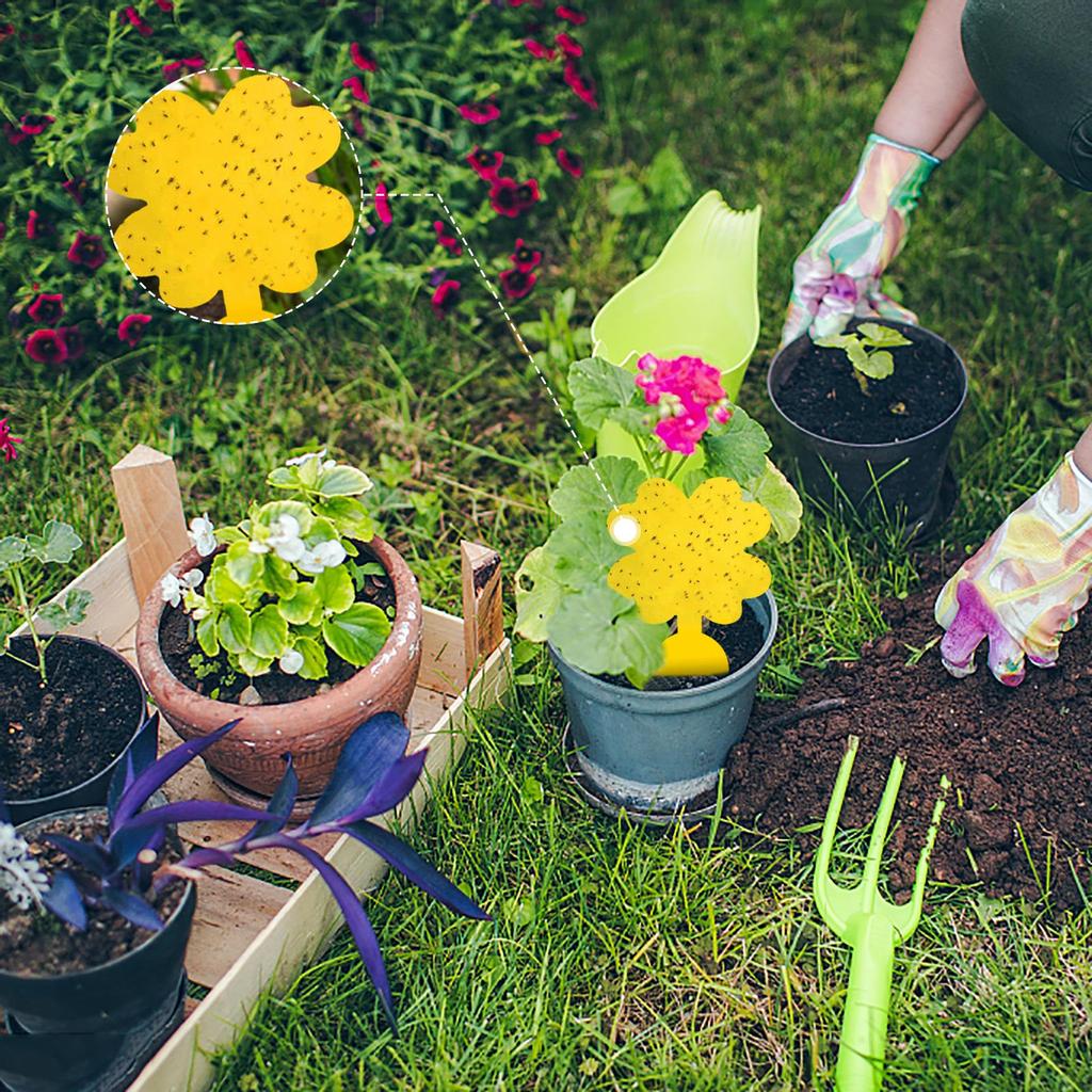 Flie Traps Sticky Board -Sided Sticky Traps Flying Plant Insect Catcher