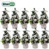 1-10PCS Mini Christmas Tree 20cm Desktop Decor with Gift Box Creative Holiday Ornament for Kids Room Office Party Decoration