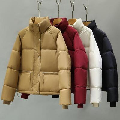 Frauen Winter Parkas Kurze Koreanische Stil 2023 Neue Mode Zipper Baumwolle Gefütterte Mäntel für Frauen