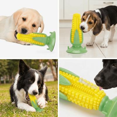 Köpek – Köpek oyuncakları