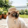Adjustable Pet Straw Hat Breathable Pet Sunshade Hat Fashion Dog Fisherman Hat  Photography Props