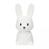 Night Light - INNOGIO - RABBIT Midi - Silicone - USB Rechargeable - 1.5 W