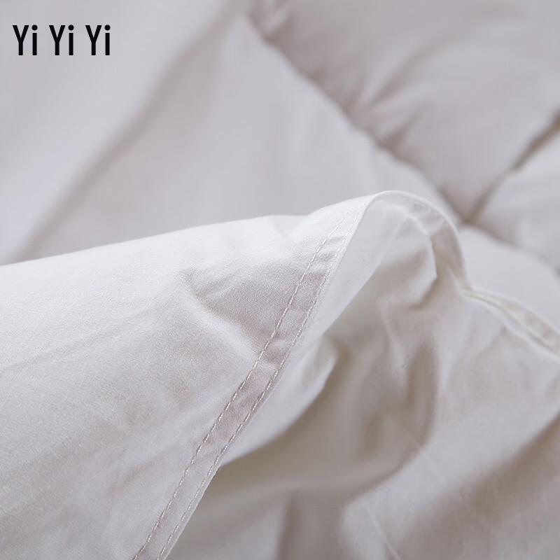 Yiyiai Hotel & Apartment All-Season Duvet Insert