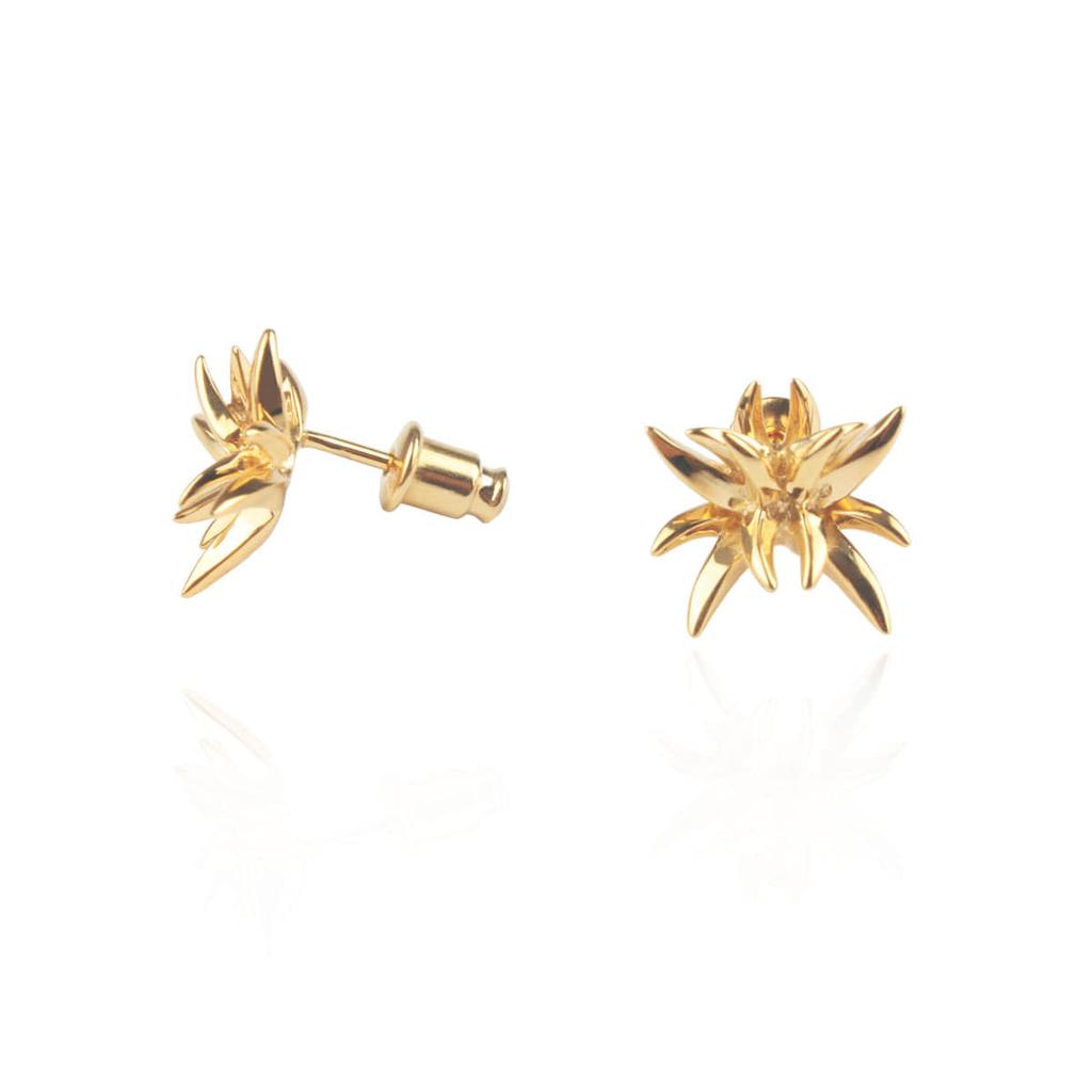 Mezmic Acmea Fasciata Earrings_ Yellow Gold