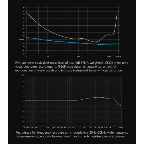 TOPPING Professional CL101 Studio Condenser Microphone, Gaming, XLR, Unidirectional, Shock Mount, Windscreen, Pop Filter, for Video Streaming, Home Re